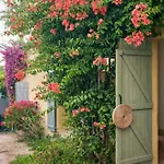 Solea Avec Petit Bassin Et Proche Plages Villa Sanary-sur-Mer