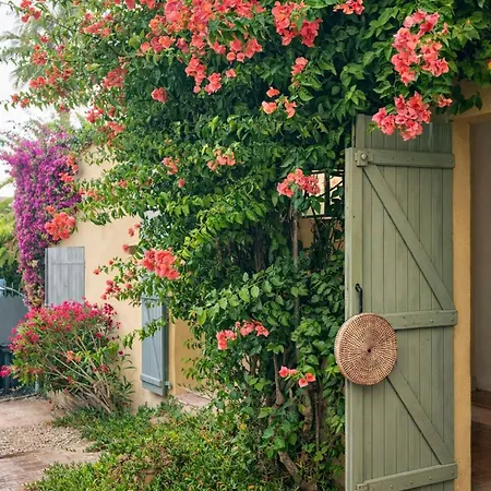 Solea Avec Petit Bassin Et Proche Plages Villa Sanary-sur-Mer